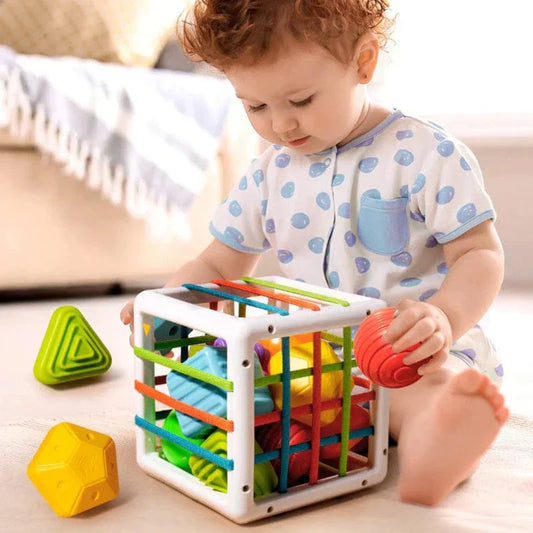 Niftiva Box - Educational Box