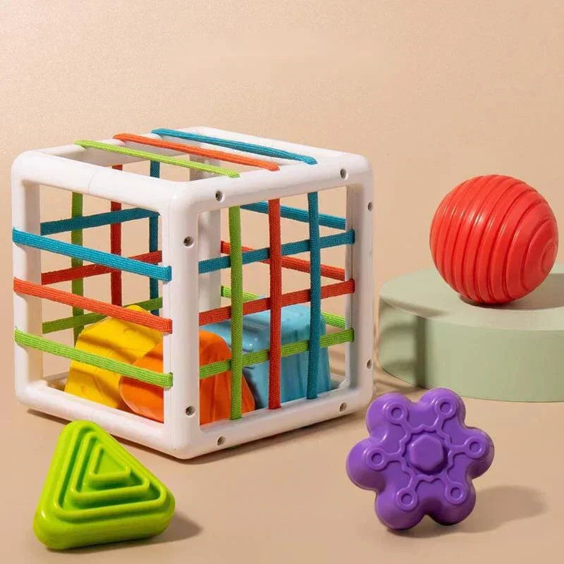 Niftiva Box - Educational Box