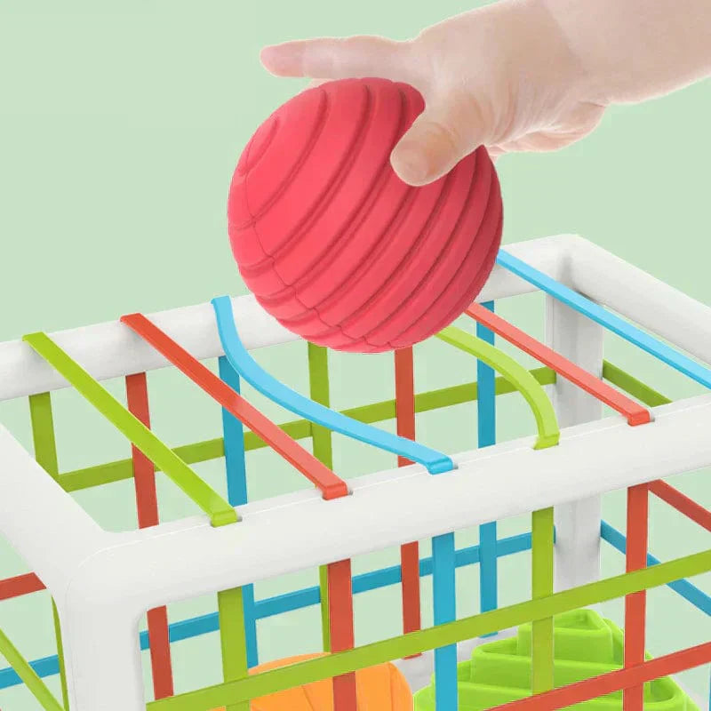 Niftiva Box - Educational Box