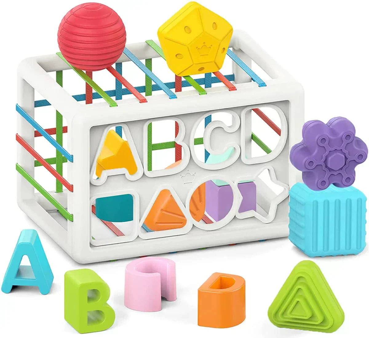 Niftiva Box - Educational Box