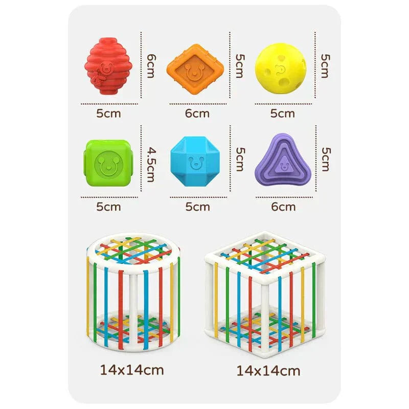 Niftiva Box - Educational Box