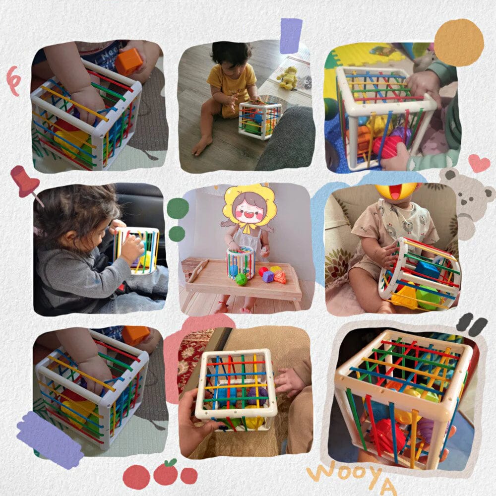 Niftiva Box - Educational Box