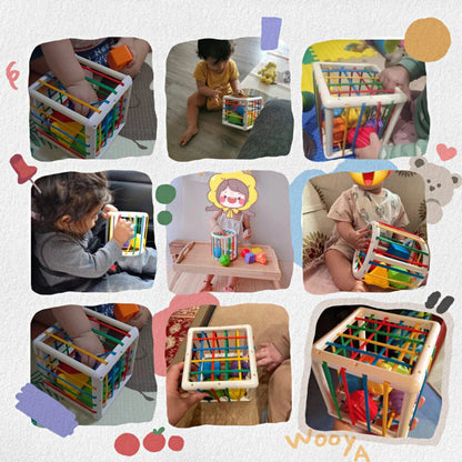 Niftiva Box - Educational Box