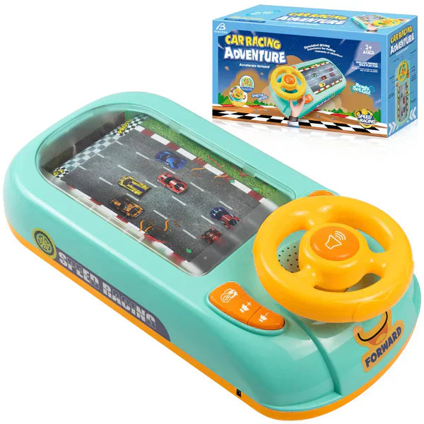 Niftiva Simulation Driving